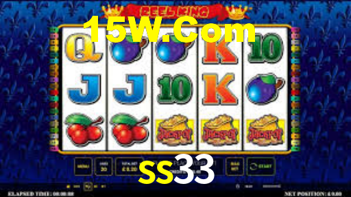ss33