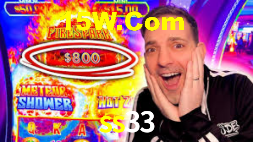 ss33